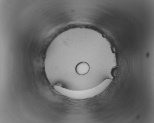 X0000115211110200911251500