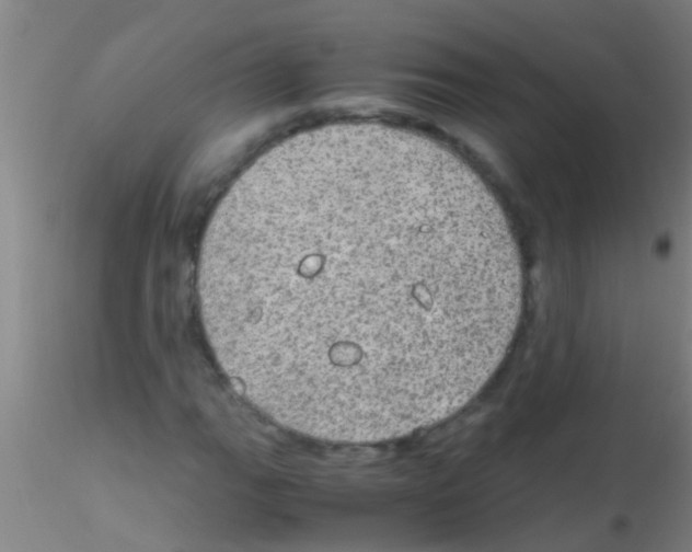 X0000115211111200911251500