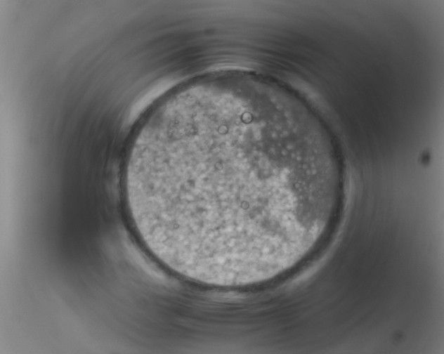 X0000115211113200911251501