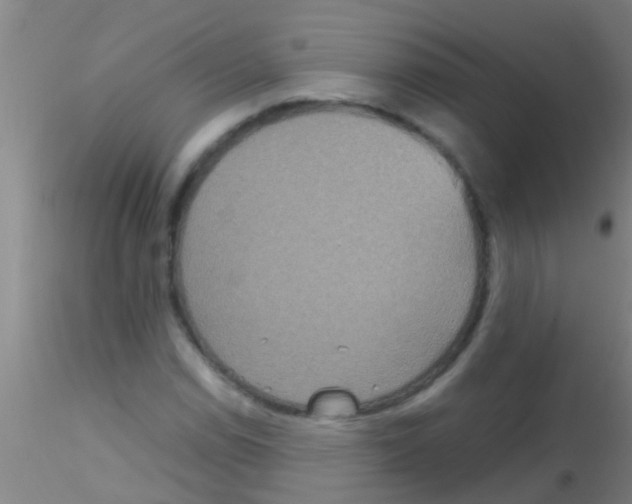 X0000115211114200911251501