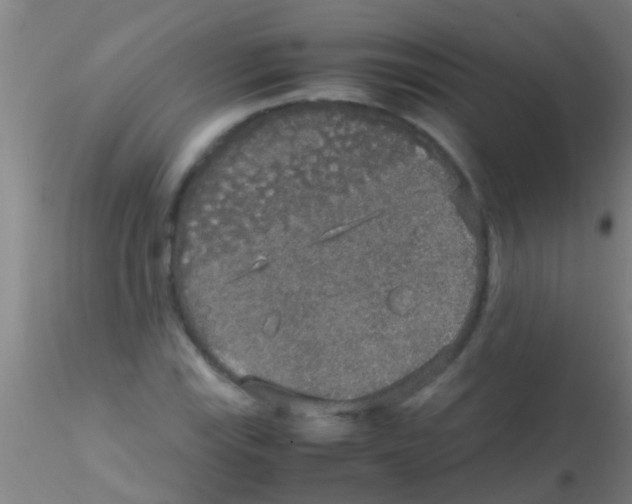 X0000115211115200911251501