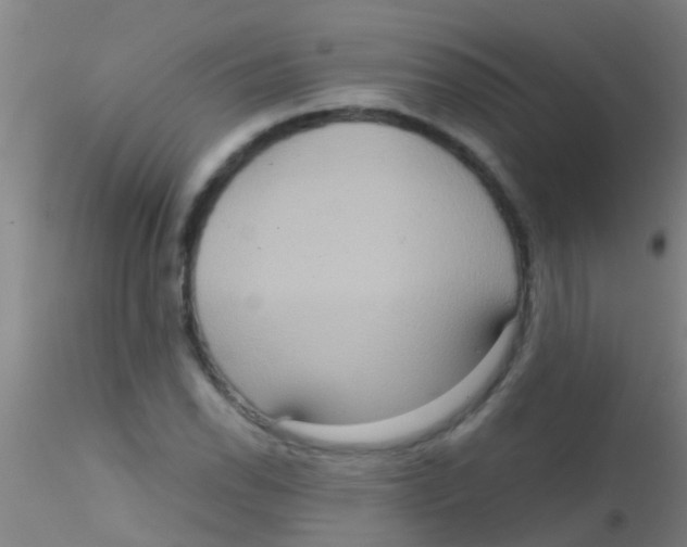 X0000115211118200911251501