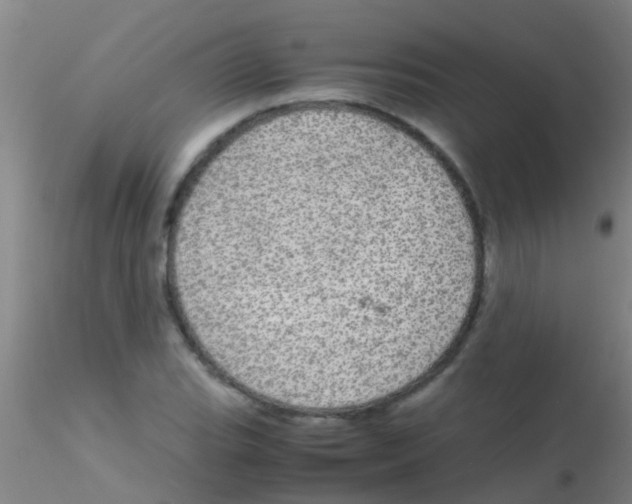 X0000115211119200911251501