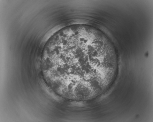 X0000115211121200911251501