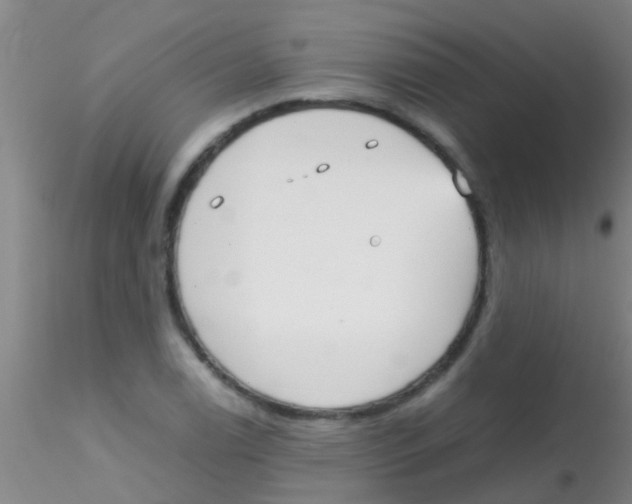 X0000115211122200911251501