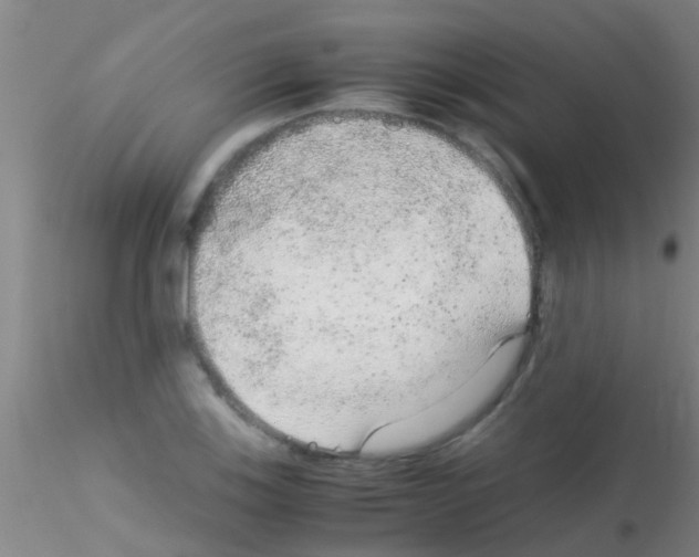 X0000115211123200911251501