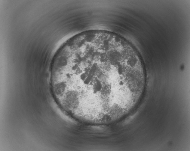 X0000115211125200911251501