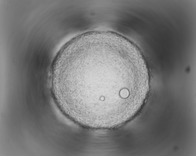 X0000115211126200911251501