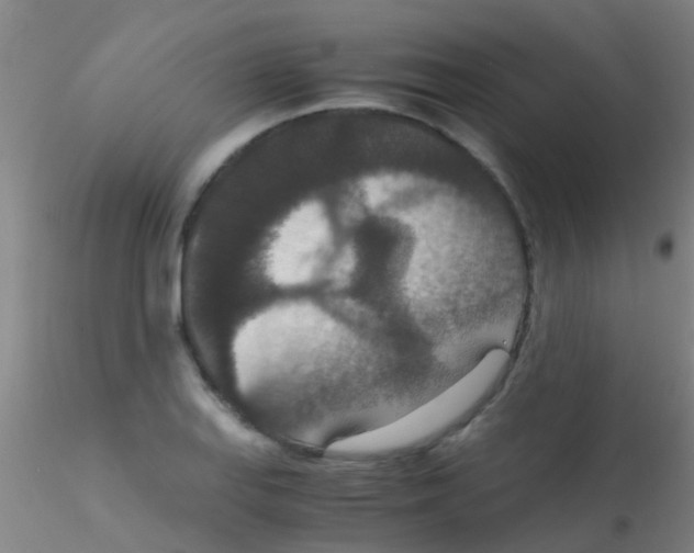 X0000115211127200911251501