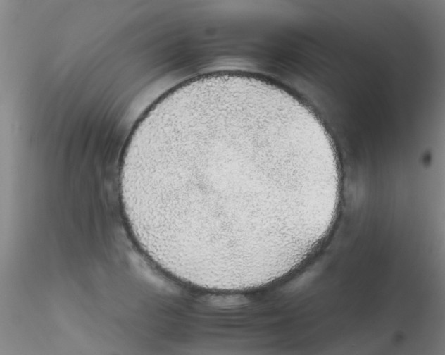 X0000115211129200911251501