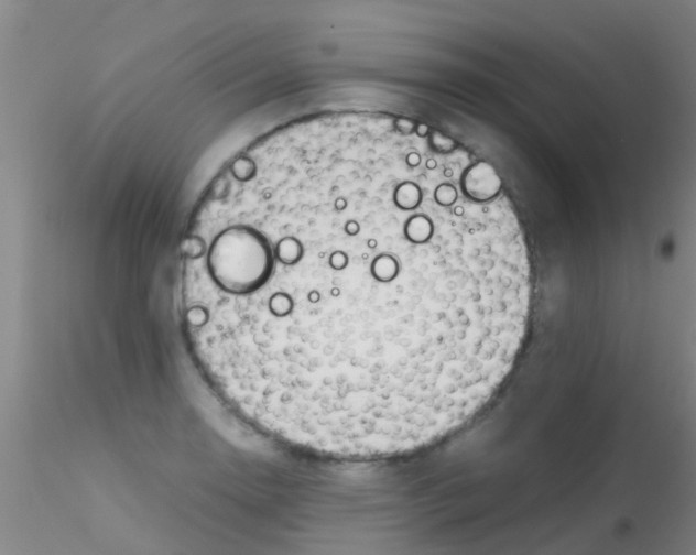 X0000115211130200911251501