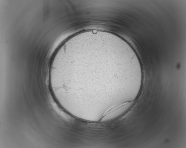 X0000115211131200911251501