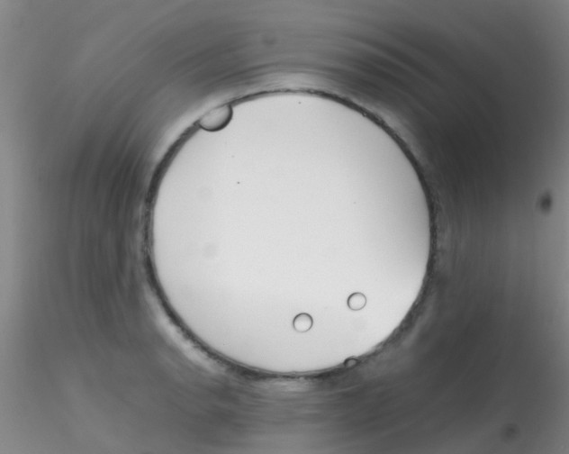 X0000115211134200911251501