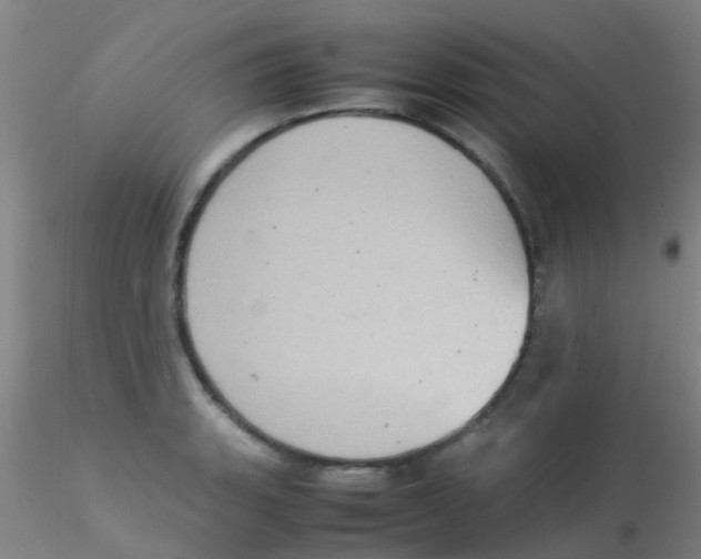 X0000115211135200911251501