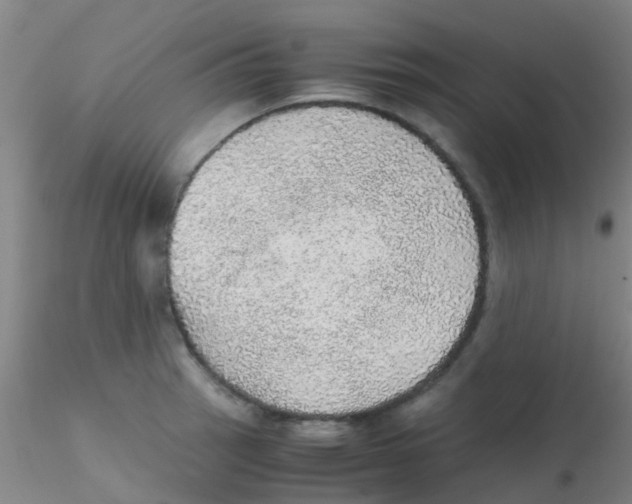 X0000115211137200911251501