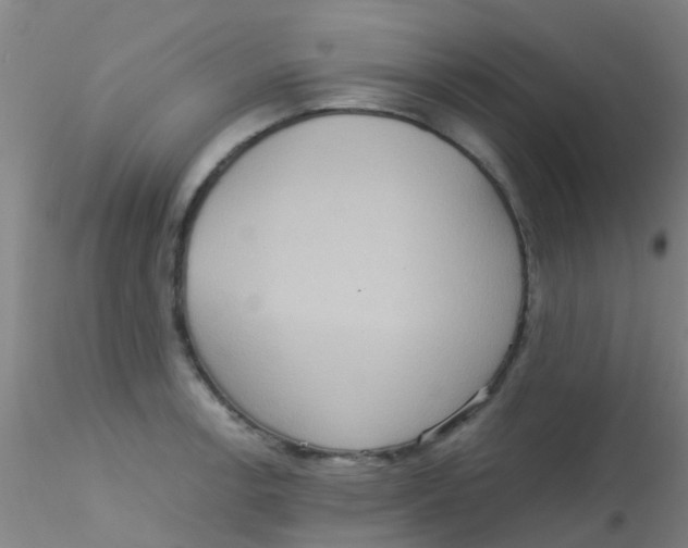 X0000115211138200911251501