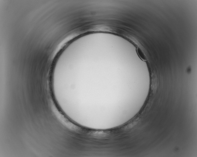 X0000115211139200911251501