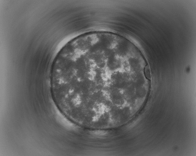 X0000115211141200911251501