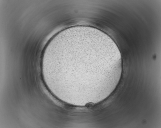 X0000115211142200911251501