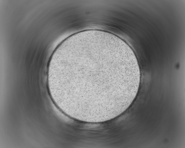 X0000115211143200911251501