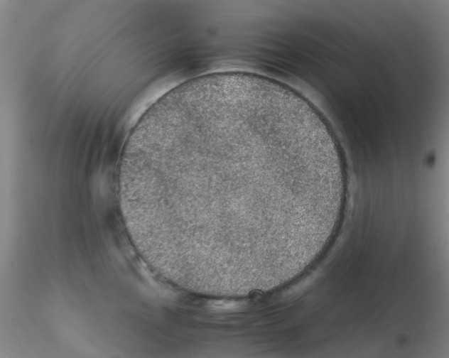 X0000115211145200911251501