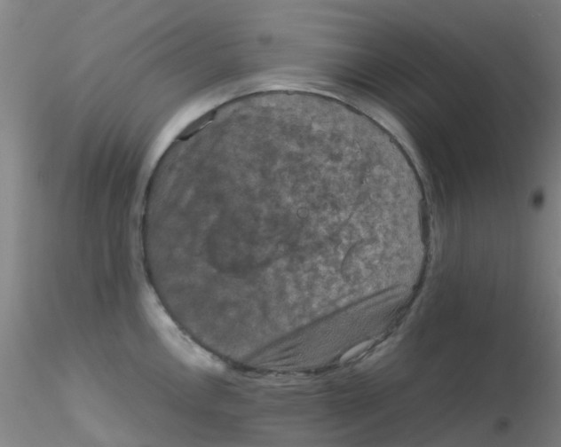 X0000115211146200911251501