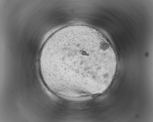 X0000115211149200911251501