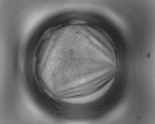 X0000115211151200911251501