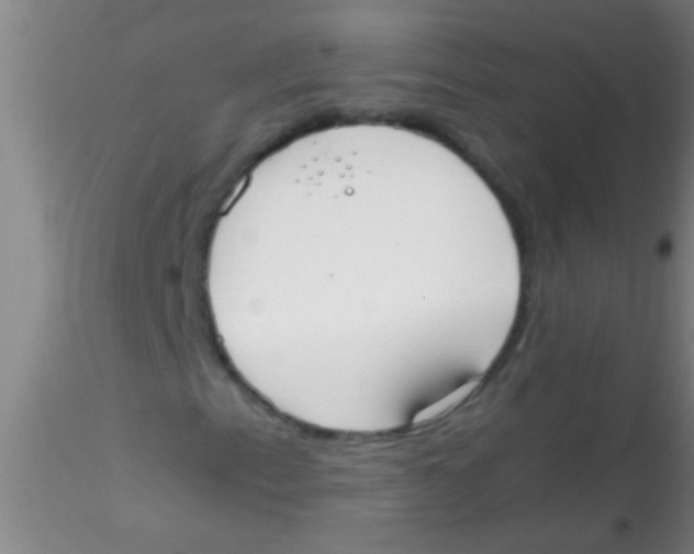 X0000115211153200911251500