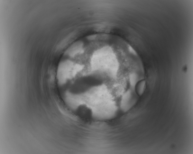 X0000115211154200911251500