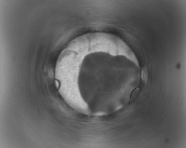 X0000115211155200911251500