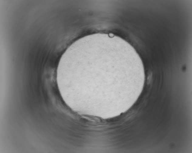 X0000115211156200911251500