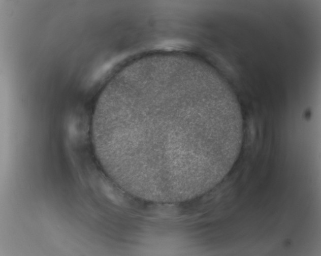 X0000115211158200911251500