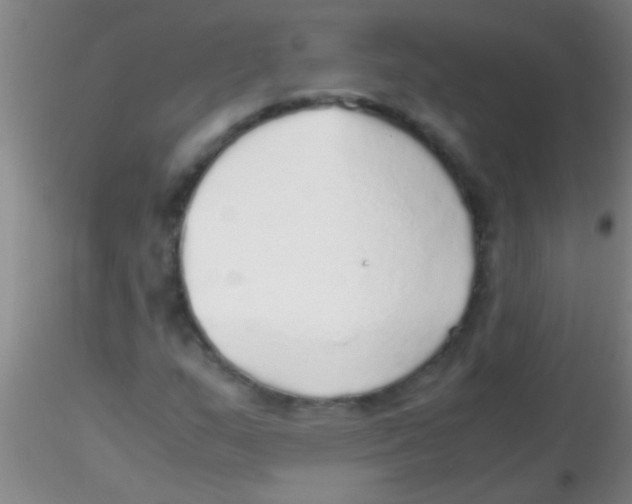 X0000115211159200911251500