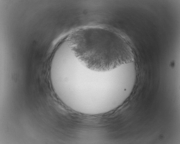 X0000115211160200911251500