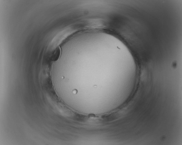 X0000115211161200911251500