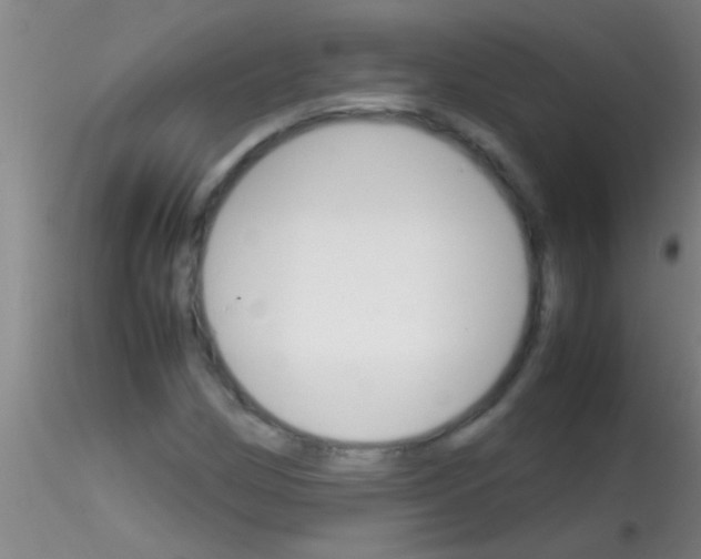 X0000115211162200911251500