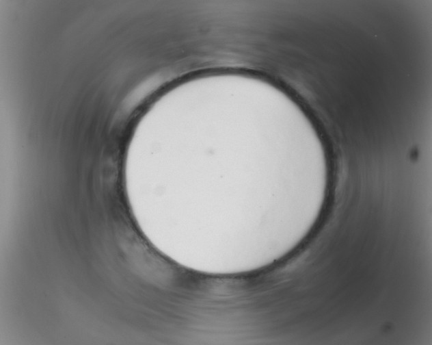 X0000115211163200911251500