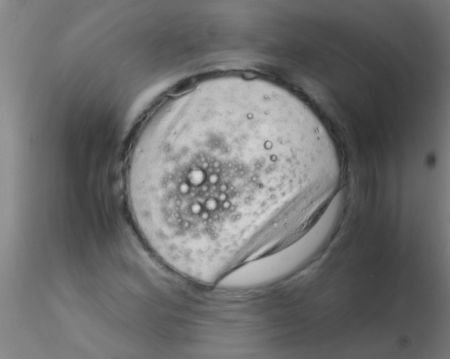 X0000115211164200911251500