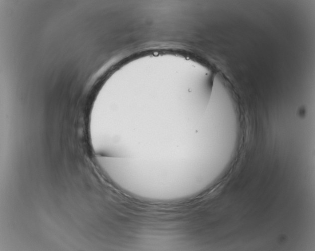 X0000115211165200911251500