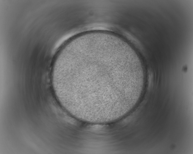 X0000115211166200911251500