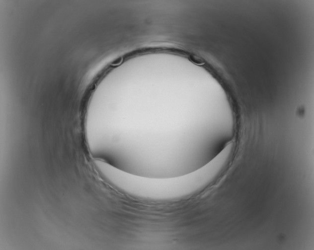 X0000115211167200911251500