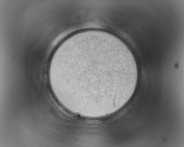 X0000115211168200911251500