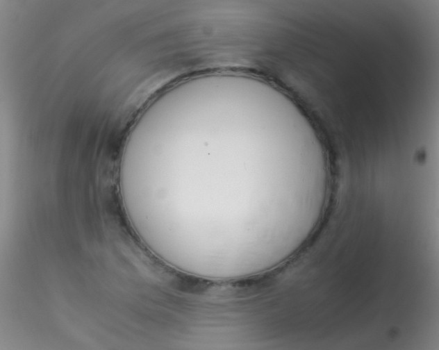 X0000115211169200911251500