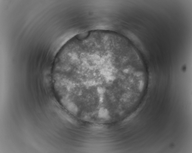 X0000115211170200911251500