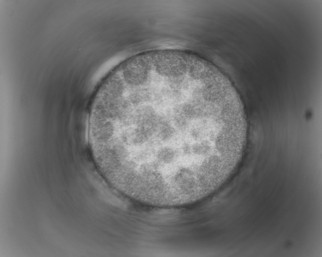 X0000115211171200911251500