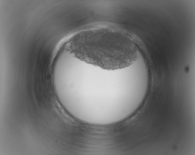 X0000115211172200911251500