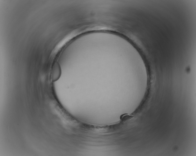 X0000115211173200911251500