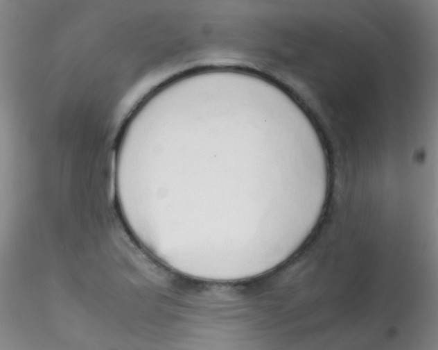 X0000115211175200911251500