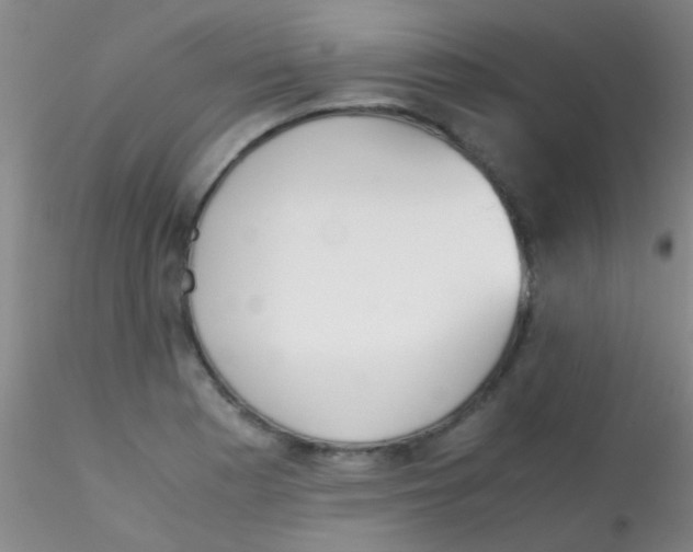 X0000115211177200911251500